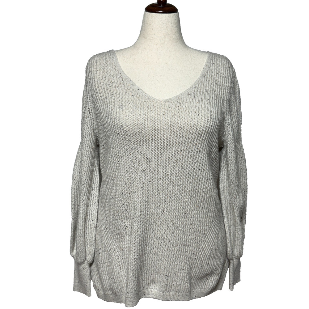 Chicos‎ Sweater Womens Large 2 Beige Speckled V Neck Pullover Long Sleeve Career